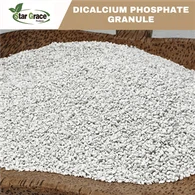 Brasilia DCP