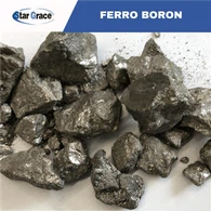 Ferrobooriseos