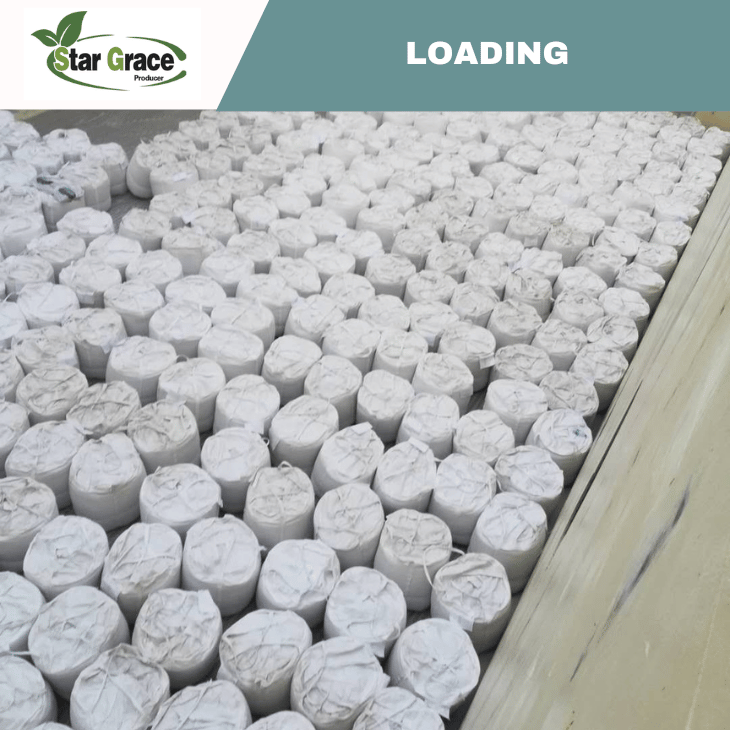 Calcium Nitrate Tetrahydrate Price