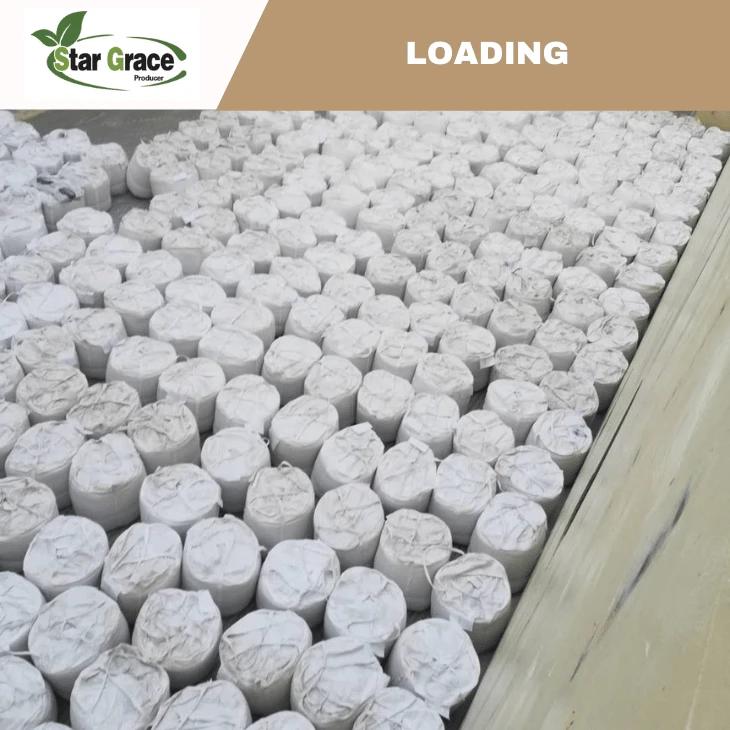 Dicalcium Phosphate Feed Grade