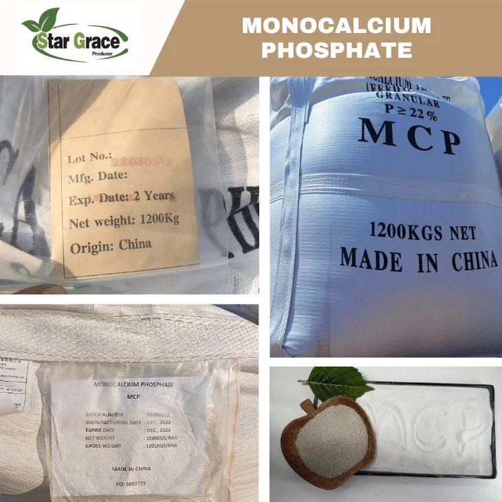 MCP for Aquaculture