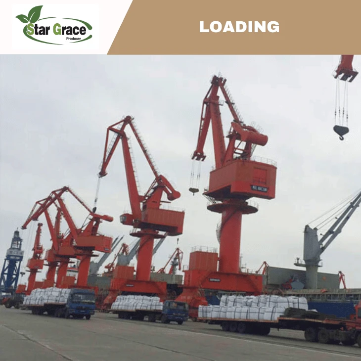 MDCP Monodicalcium Phosphate to Vietnam